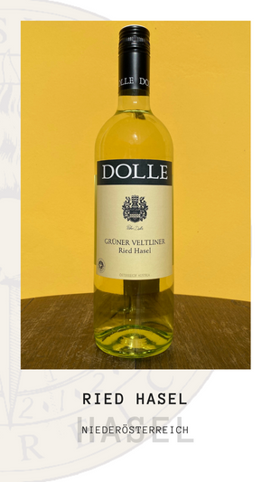 Weingut Dolle - Grüner Veltliner Ried Hasel