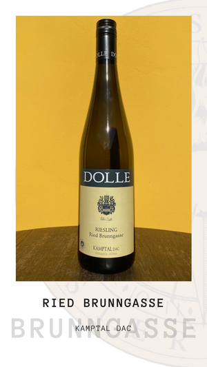 Weingut Dolle - Riesling Ried Brunngasse Kamptal DAC